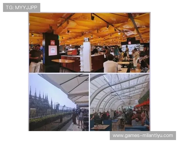 米兰中文文化活动：丰富多彩的汉语文化体验与交流平台